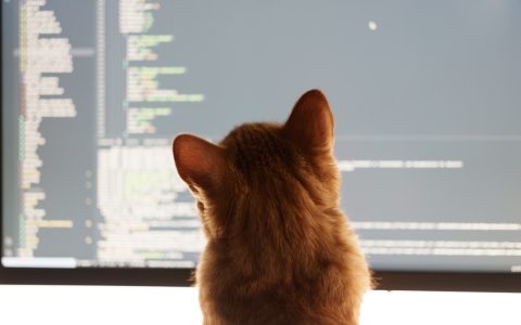 Kod gözden geçirme süreci